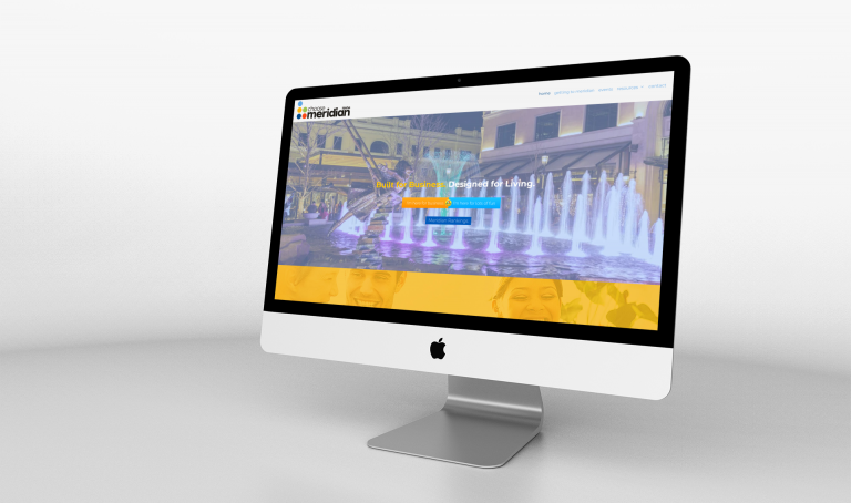 Choose Meridian Logo and Website Project